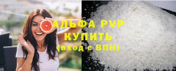 ECSTASY Белокуриха