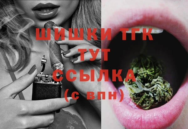 ECSTASY Белокуриха